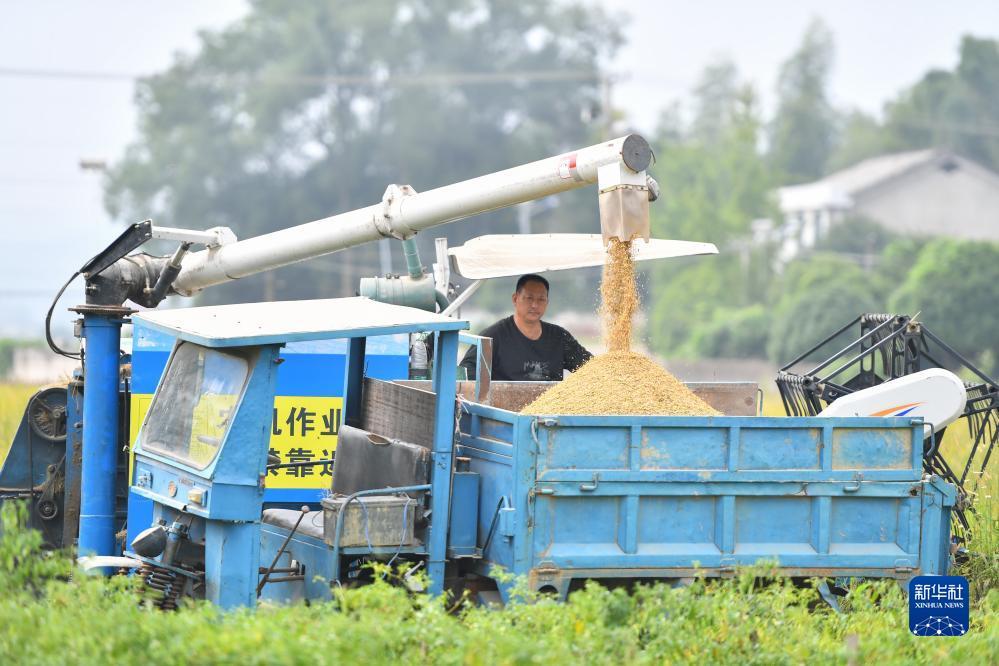 百老汇游戏娱乐